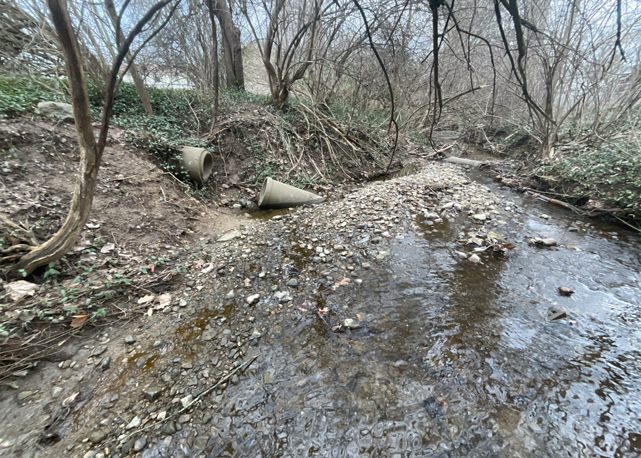 Broken concrete drainage pipes along a wooded creek bank with sediment buildup in the stream.